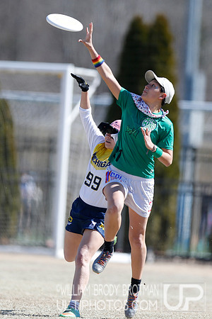 Day 1 of Commonwealth Cup.