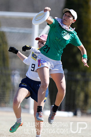 Day 1 of Commonwealth Cup.