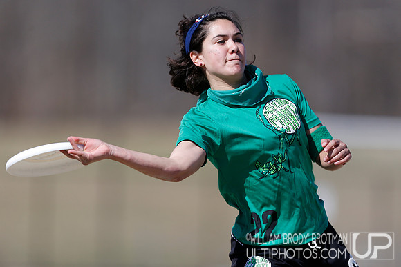 Day 1 of Commonwealth Cup.