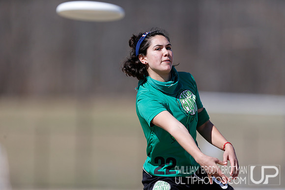 Day 1 of Commonwealth Cup.