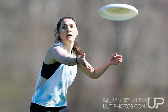 Day 2 of Commonwealth Cup.