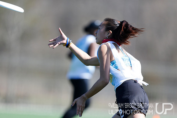 Day 2 of Commonwealth Cup.