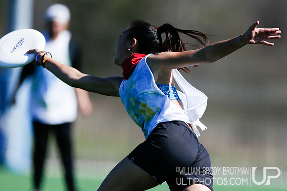 Day 2 of Commonwealth Cup.