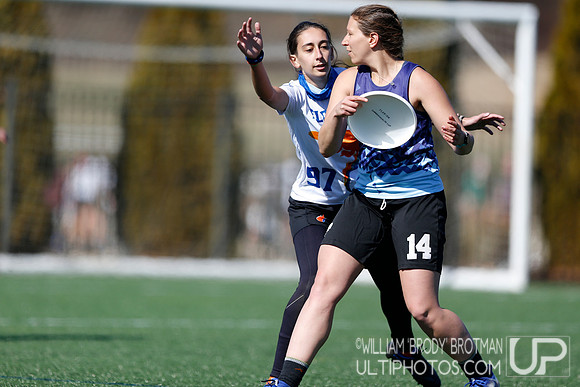Day 1 of Commonwealth Cup.