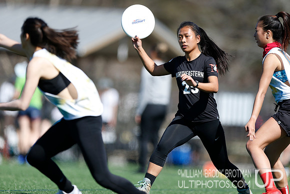 Day 2 of Commonwealth Cup.