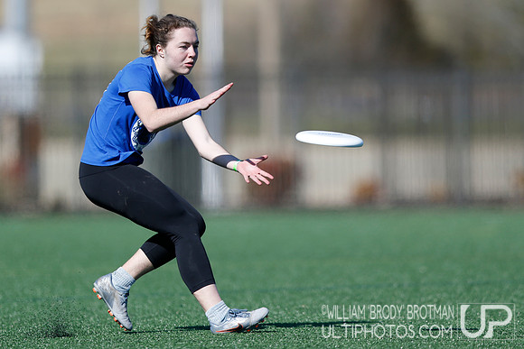 Day 1 of Commonwealth Cup.
