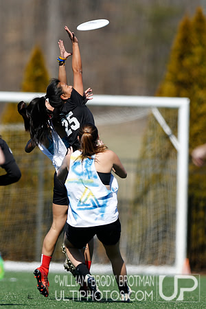 Day 2 of Commonwealth Cup.