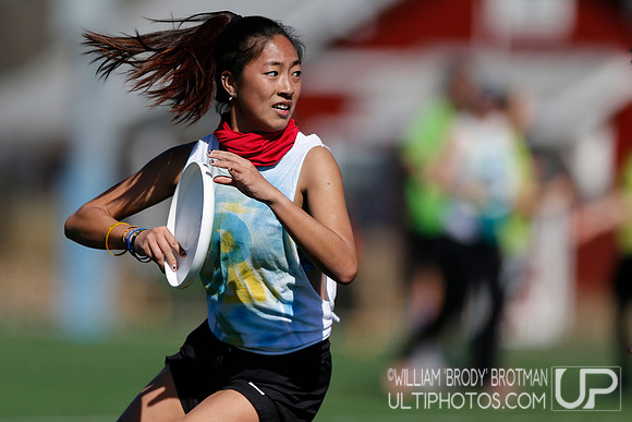 Day 2 of Commonwealth Cup.