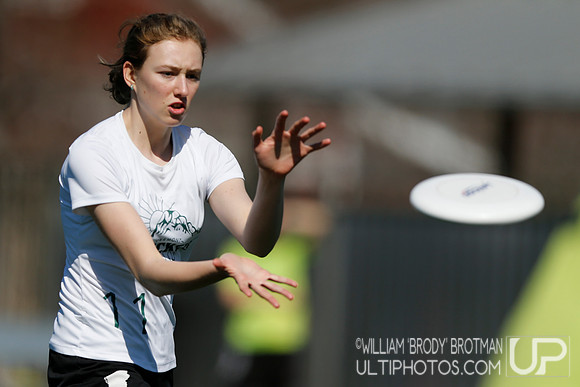 Day 2 of Commonwealth Cup.