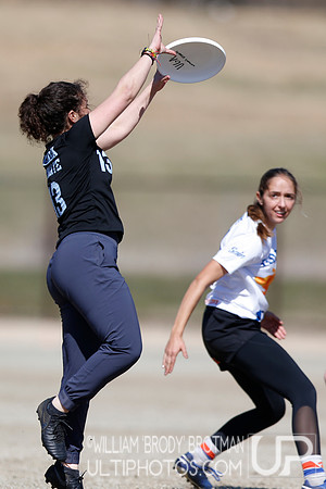 Day 2 of Commonwealth Cup.