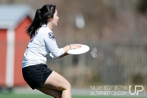 Day 2 of Commonwealth Cup.