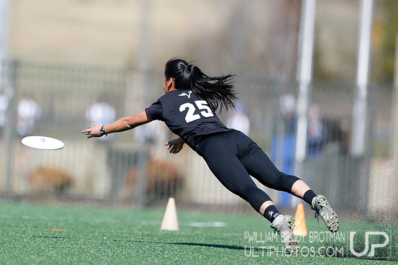 Day 2 of Commonwealth Cup.