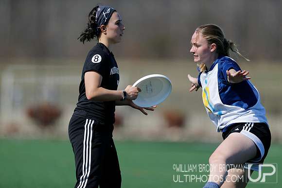 Day 2 of Commonwealth Cup.