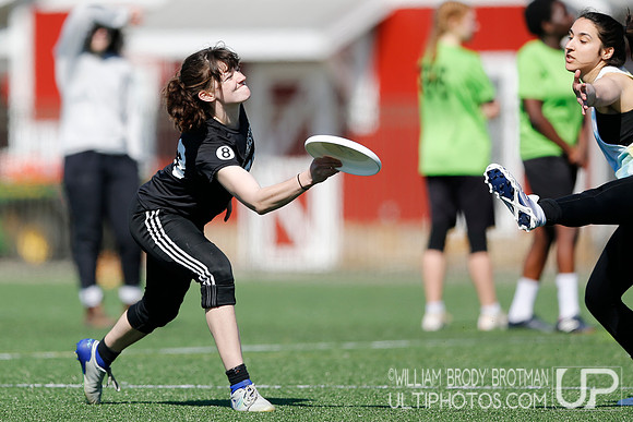 Day 2 of Commonwealth Cup.