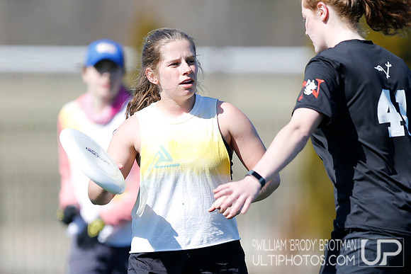 Day 2 of Commonwealth Cup.
