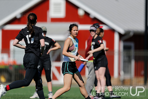 Day 2 of Commonwealth Cup.