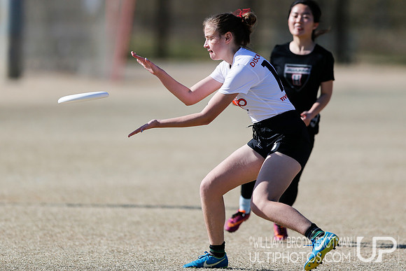 Day 2 of Commonwealth Cup.
