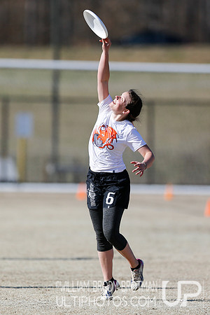 Day 2 of Commonwealth Cup.