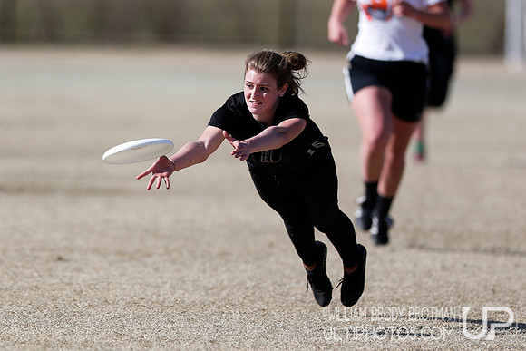 Day 2 of Commonwealth Cup.