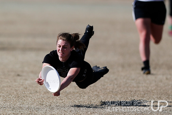 Day 2 of Commonwealth Cup.