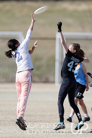 Day 2 of Commonwealth Cup.