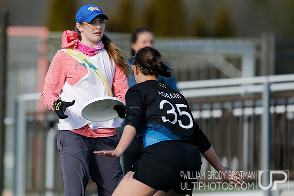 Day 2 of Commonwealth Cup.