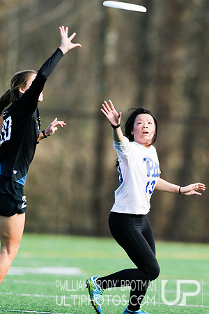 Day 2 of Commonwealth Cup.