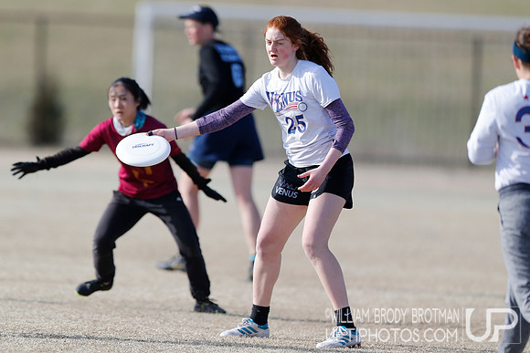 Day 2 of Commonwealth Cup.