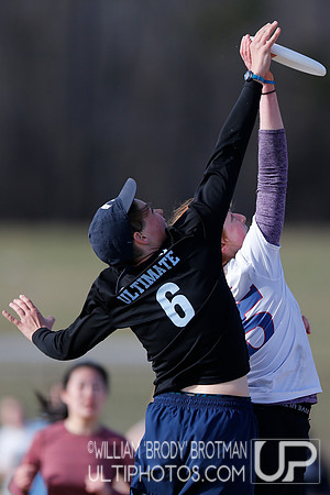 Day 2 of Commonwealth Cup.