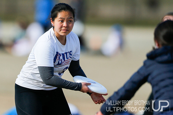 Day 2 of Commonwealth Cup.