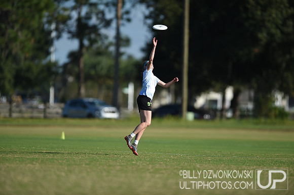 The 2019 Pan American Ultimate Championships in Sarasota, Florida
