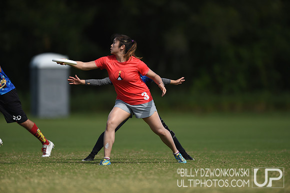 The 2019 Pan American Ultimate Championships in Sarasota, Florida