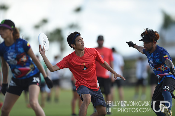 The 2019 Pan American Ultimate Championships in Sarasota, Florida