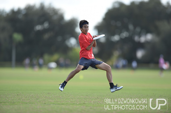 The 2019 Pan American Ultimate Championships in Sarasota, Florida