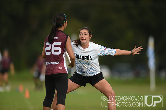 The 2019 Pan American Ultimate Championships in Sarasota, Florida