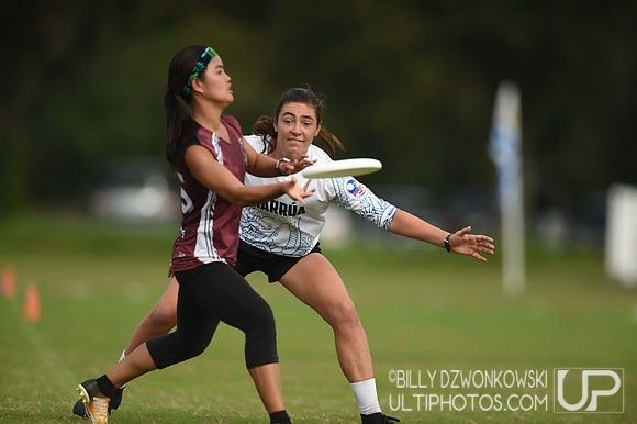 The 2019 Pan American Ultimate Championships in Sarasota, Florida