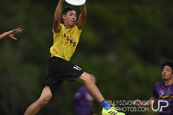 The 2019 Pan American Ultimate Championships in Sarasota, Florida