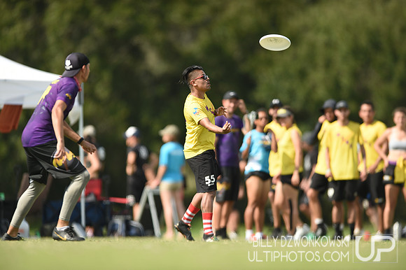 The 2019 Pan American Ultimate Championships in Sarasota, Florida