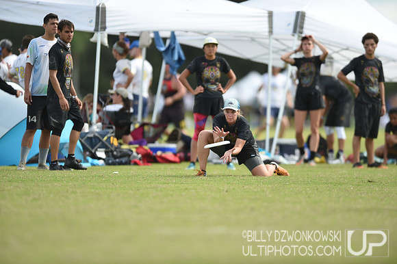 The 2019 Pan American Ultimate Championships in Sarasota, Florida