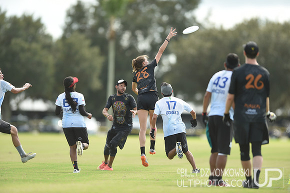 The 2019 Pan American Ultimate Championships in Sarasota, Florida