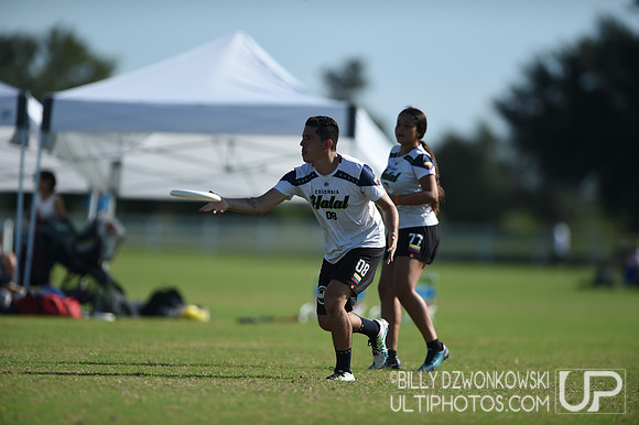 The 2019 Pan American Ultimate Championships in Sarasota, Florida