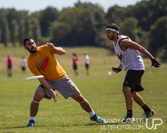 2013 USA Ultimate Metro New York Open Sectionals