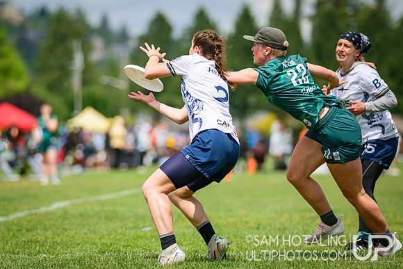 Pool play at USAU D-I College Championships