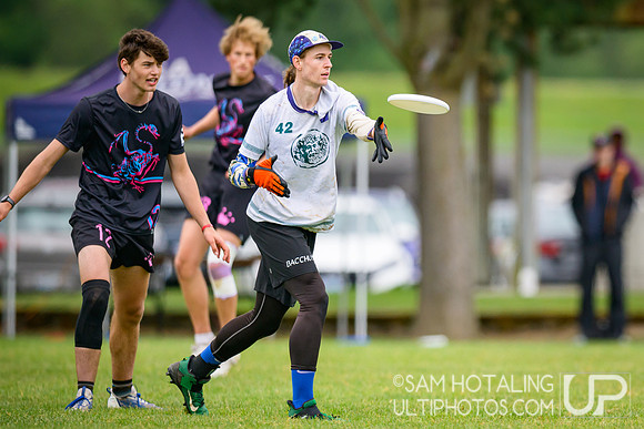 Lewis & Clark Bacchus vs Middlebury Pranksters (M) in finals at USAU D-III College Championships