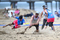 Final: Running with Scissors v Flamingos