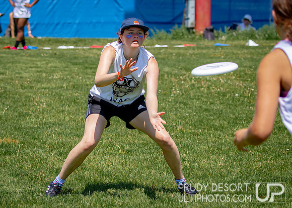 2024 USA Ultimate Division III College Championships ©