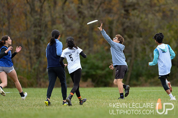 Washington-Liberty WhirlyNEGS vs HB Woodlawn Mixed - Qtrs - VA-D