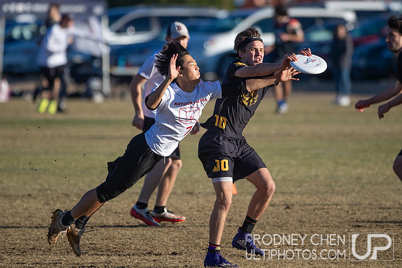 2021 USA Ultimate College Championships