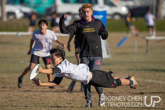 2021 USA Ultimate College Championships