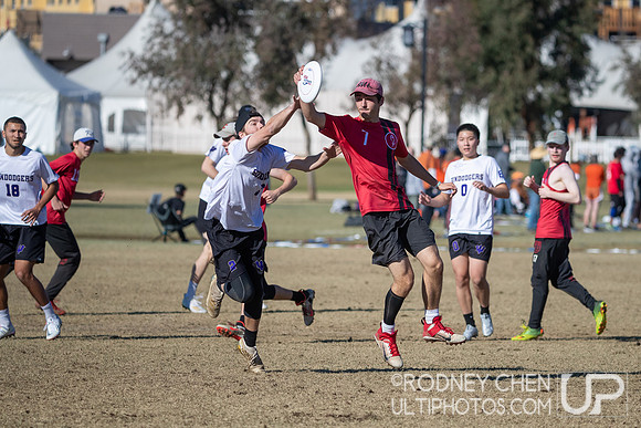 2021 USA Ultimate College Championships